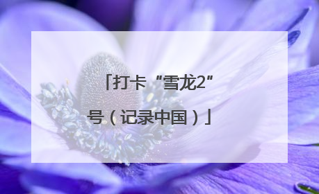 打卡“雪龙2”号（记录中国）