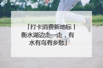 打卡消费新地标丨衡水湖边走一走，有水有鸟有乡愁