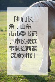 扣门长三角，山东一市市委书记、市长接连带队招商谋深度对接