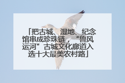 把古城、湿地、纪念馆串成珍珠链，“鲁风运河”古城文化廊道入选十大最美农村路