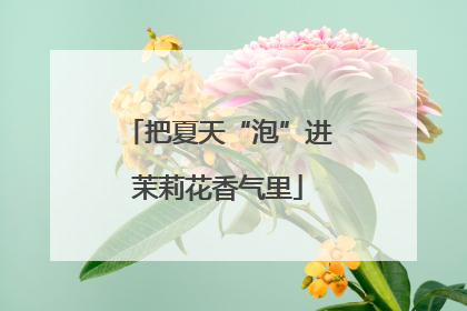 把夏天“泡”进茉莉花香气里