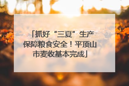抓好“三夏”生产 保障粮食安全！平顶山市麦收基本完成