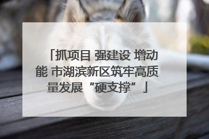 抓项目 强建设 增动能 市湖滨新区筑牢高质量发展“硬支撑”