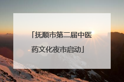 抚顺市第二届中医药文化夜市启动