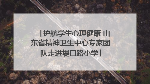 护航学生心理健康 山东省精神卫生中心专家团队走进堤口路小学