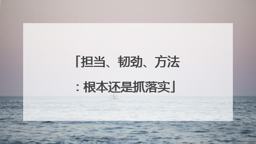 担当、韧劲、方法：根本还是抓落实