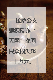 拉萨公安编织反诈“天网”挽回民众损失超千万元