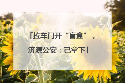 拉车门开“盲盒”，济源公安：已拿下