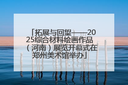拓展与回望——2025综合材料绘画作品（河南）展览开幕式在郑州美术馆举办