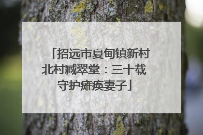 招远市夏甸镇新村北村臧翠堂：三十载守护瘫痪妻子