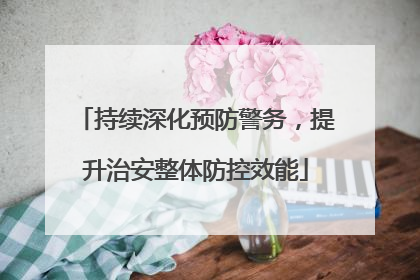 持续深化预防警务，提升治安整体防控效能