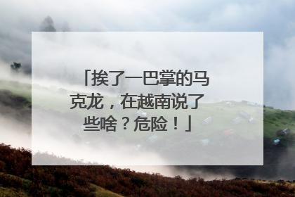 挨了一巴掌的马克龙，在越南说了些啥？危险！