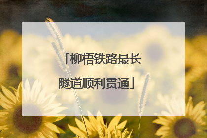 柳梧铁路最长隧道顺利贯通
