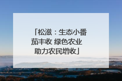 松滋：生态小番茄丰收 绿色农业助力农民增收