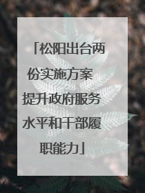 松阳出台两份实施方案 提升政府服务水平和干部履职能力