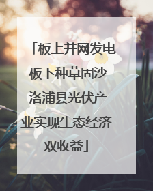 板上并网发电 板下种草固沙 洛浦县光伏产业实现生态经济双收益