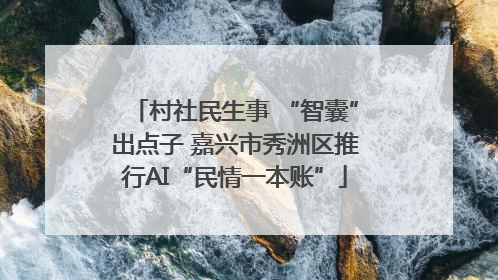 村社民生事 “智囊”出点子 嘉兴市秀洲区推行AI“民情一本账”