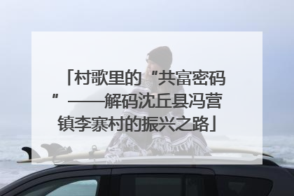 村歌里的“共富密码”——解码沈丘县冯营镇李寨村的振兴之路