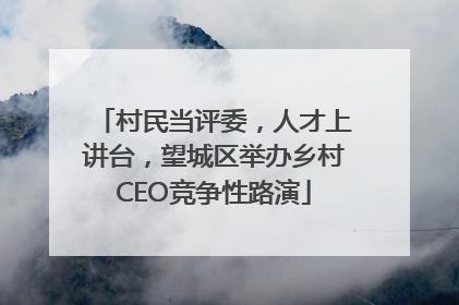 村民当评委，人才上讲台，望城区举办乡村CEO竞争性路演