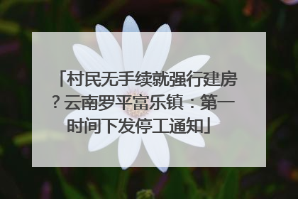村民无手续就强行建房？云南罗平富乐镇：第一时间下发停工通知