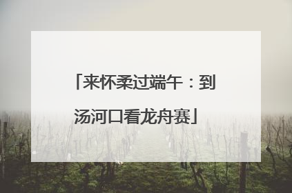 来怀柔过端午：到汤河口看龙舟赛