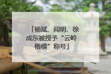 杨斌、闻明、徐成东被授予“云岭楷模”称号