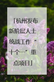 杭州发布新阶层人士统战工作“十个一”重点项目