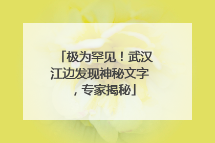 极为罕见！武汉江边发现神秘文字，专家揭秘