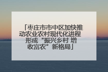枣庄市市中区加快推动农业农村现代化进程 形成“振兴乡村 增收富农”新格局
