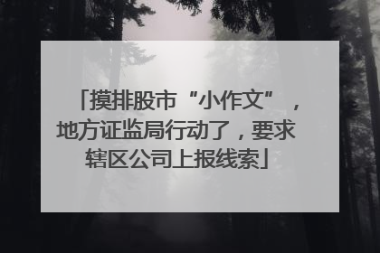 摸排股市“小作文”，地方证监局行动了，要求辖区公司上报线索
