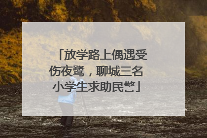 放学路上偶遇受伤夜鹭，聊城三名小学生求助民警