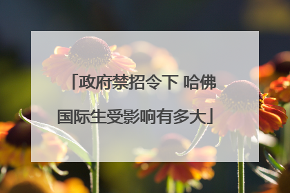 政府禁招令下 哈佛国际生受影响有多大