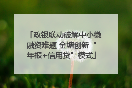 政银联动破解中小微融资难题 金塘创新“年报+信用贷”模式