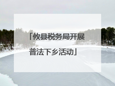 攸县税务局开展普法下乡活动