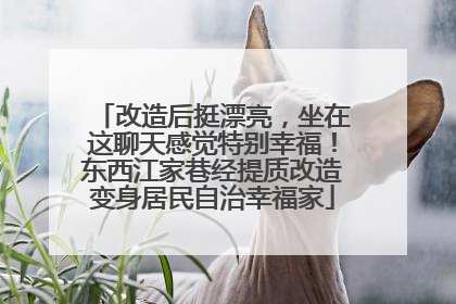 改造后挺漂亮，坐在这聊天感觉特别幸福！东西江家巷经提质改造变身居民自治幸福家