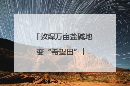敦煌万亩盐碱地变“希望田”