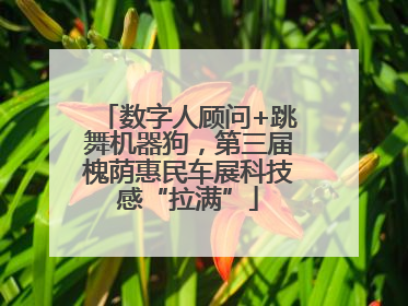 数字人顾问+跳舞机器狗，第三届槐荫惠民车展科技感“拉满”