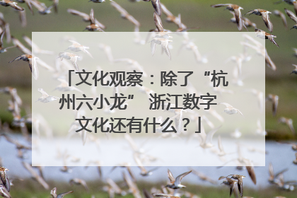 文化观察：除了“杭州六小龙” 浙江数字文化还有什么？