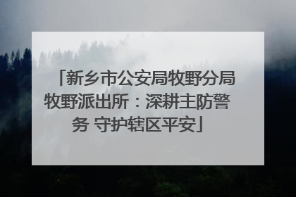 新乡市公安局牧野分局牧野派出所：深耕主防警务 守护辖区平安