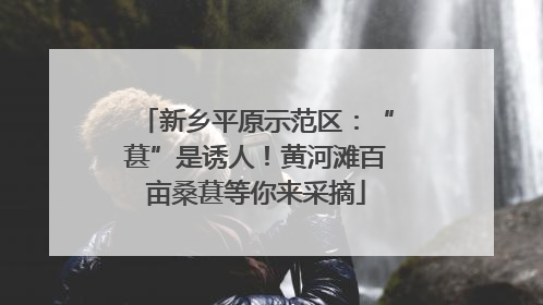 新乡平原示范区：“葚”是诱人！黄河滩百亩桑葚等你来采摘