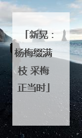 新晃：杨梅缀满枝 采梅正当时