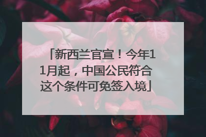 新西兰官宣！今年11月起，中国公民符合这个条件可免签入境