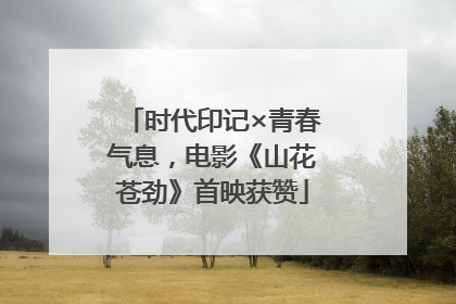 时代印记×青春气息，电影《山花苍劲》首映获赞