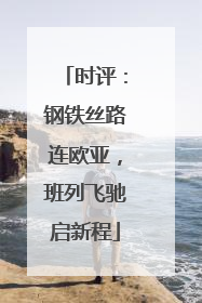 时评：钢铁丝路连欧亚，班列飞驰启新程
