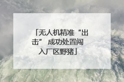 无人机精准“出击” 成功处置闯入厂区野猪