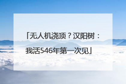 无人机浇顶？汉阳树：我活546年第一次见