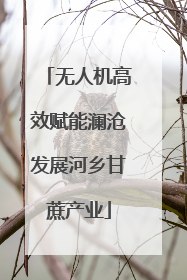 无人机高效赋能澜沧发展河乡甘蔗产业