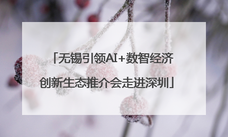 无锡引领AI+数智经济创新生态推介会走进深圳