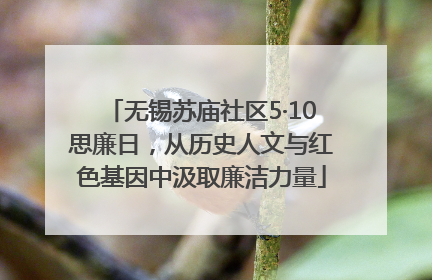 无锡苏庙社区5·10思廉日，从历史人文与红色基因中汲取廉洁力量