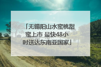 无锡阳山水蜜桃甜蜜上市 最快48小时送达东南亚国家